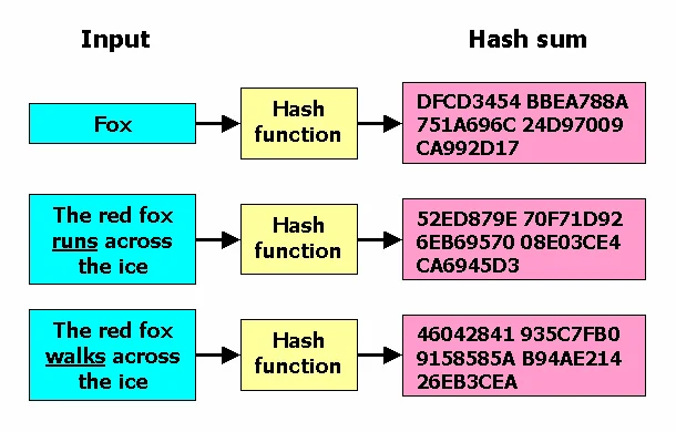 Sơ đồ hàm băm cho thấy đầu vào khác nhau tạo checksum cố định, minh họa cách chống trùng file media